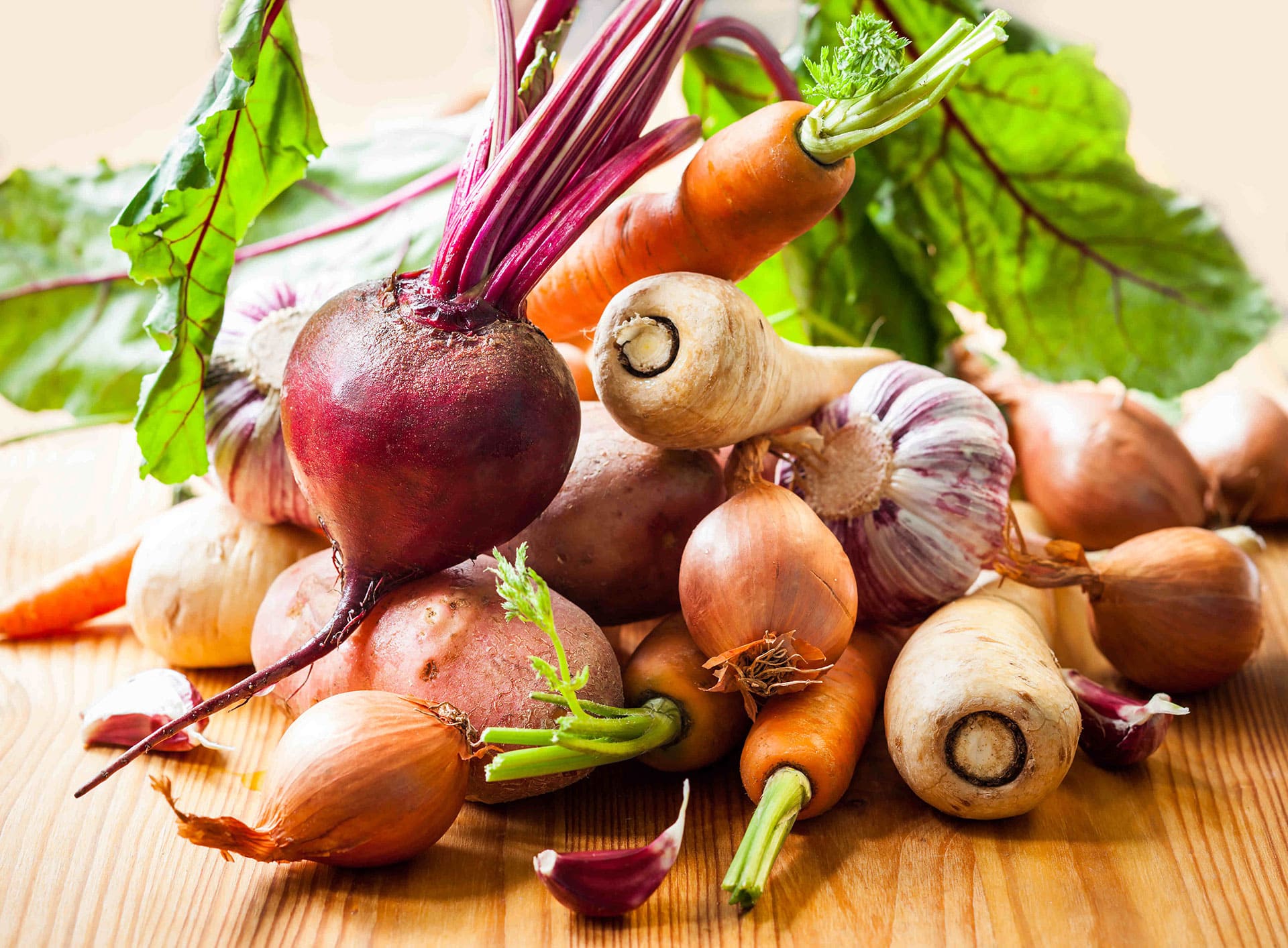 bandeau-actu-nouvelles-solutions-food-service-2023